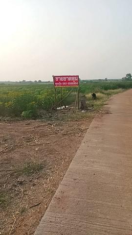 ที่ดิน 390000 กาญจนบุรี ด่านมะขามเตี้ย กลอนโด