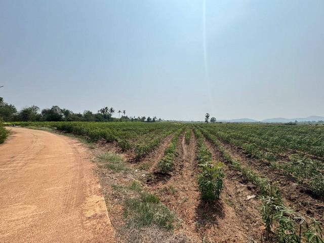 ที่ดิน 390000 กาญจนบุรี ด่านมะขามเตี้ย กลอนโด