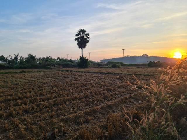 ที่ดิน 800000 หนองคาย โพนพิสัย กุดบง
