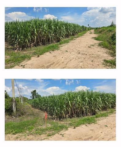 ที่ดิน 467732000 นครสวรรค์ เก้าเลี้ยว มหาโพธิ