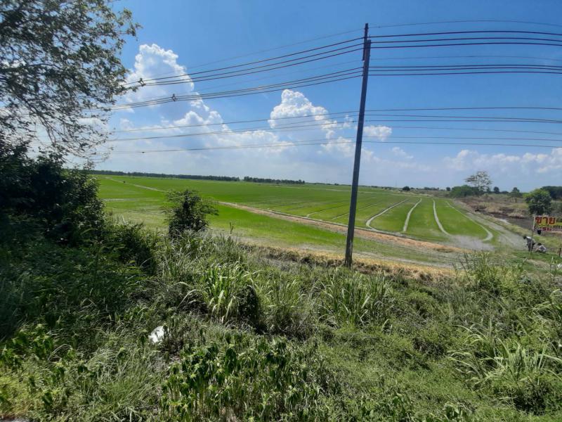 ที่ดิน 16000000 สระบุรี ดอนพุด บ้านหลวง