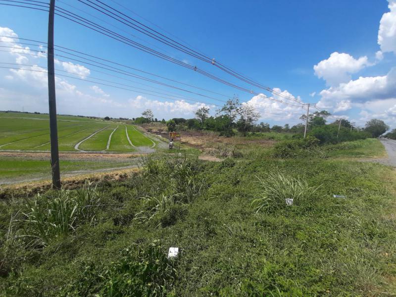 ที่ดิน 16000000 สระบุรี ดอนพุด บ้านหลวง