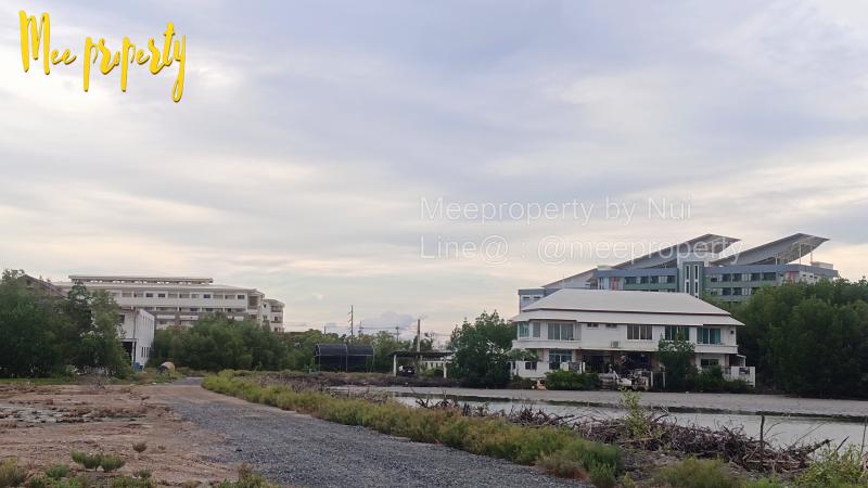 ที่ดิน 20000 กรุงเทพมหานคร เขตบางขุนเทียน ท่าข้าม