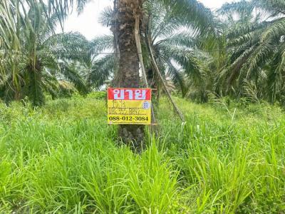 ที่ดิน 54750000 ชลบุรี ศรีราชา เขาคันทรง