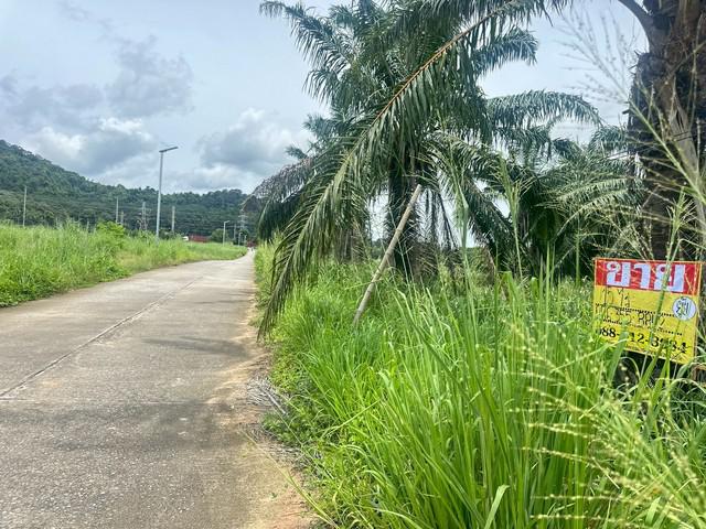 ที่ดิน 54750000 ชลบุรี ศรีราชา เขาคันทรง