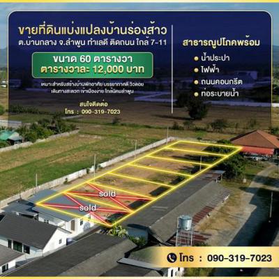ที่ดิน 12000 ลำพูน เมืองลำพูน บ้านกลาง