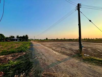 ที่ดิน 279000 สุพรรณบุรี หนองหญ้าไซ ทัพหลวง