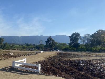 ที่ดิน 3647200 นครราชสีมา ปากช่อง หมูสี