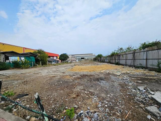 ที่ดิน 39000 สมุทรสาคร กระทุ่มแบน คลองมะเดื่อ