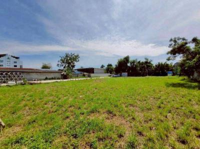 ที่ดิน 91680000 กรุงเทพมหานคร เขตพระโขนง บางจาก