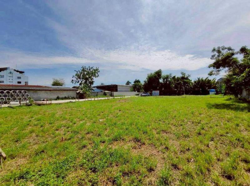 ที่ดิน 91680000 กรุงเทพมหานคร เขตพระโขนง บางจาก