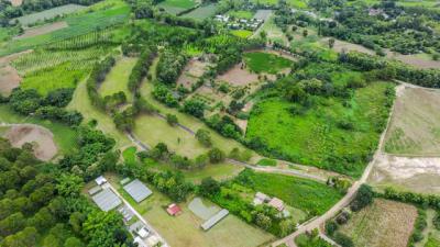 ที่ดิน 15000 เพชรบูรณ์ เขาค้อ แคมป์สน