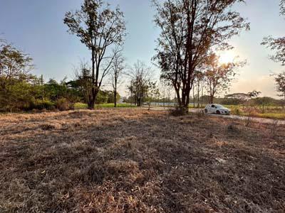 ที่ดิน 1250000 เชียงใหม่ สันกำแพง ห้วยทราย