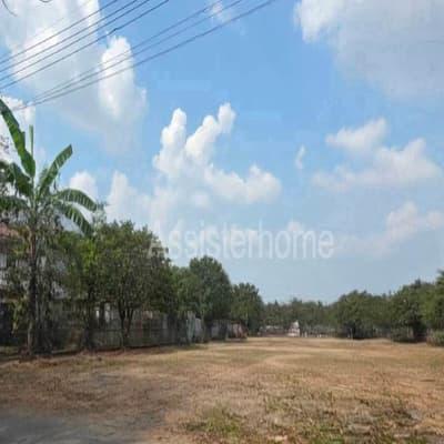 ที่ดิน 20000000 กรุงเทพมหานคร เขตตลิ่งชัน ตลิ่งชัน