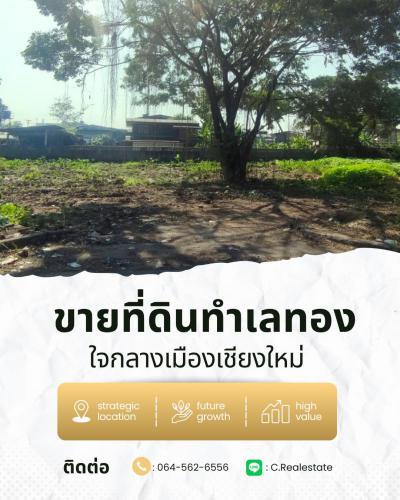 ที่ดิน 36000000 เชียงใหม่ เมืองเชียงใหม่ ป่าตัน