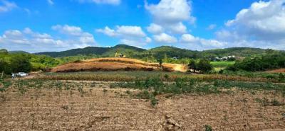 ที่ดิน 1700000 นครราชสีมา ปากช่อง ขนงพระ