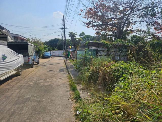 ที่ดิน 96000 กรุงเทพมหานคร เขตบางกะปิ คลองจั่น