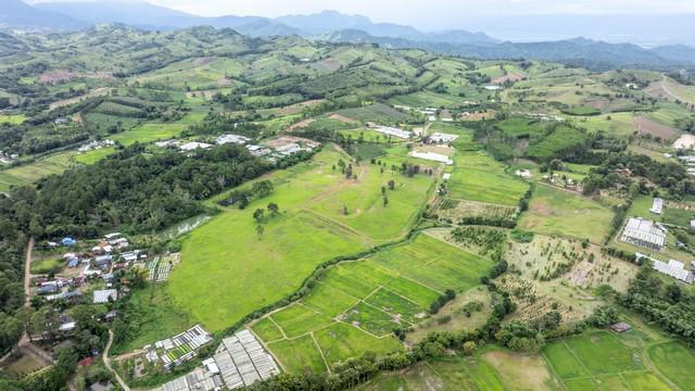ที่ดิน 5000000 เพชรบูรณ์ เขาค้อ แคมป์สน