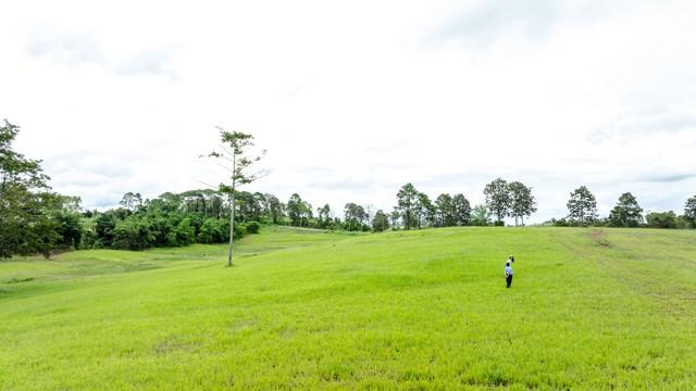 ที่ดิน 5000000 เพชรบูรณ์ เขาค้อ แคมป์สน