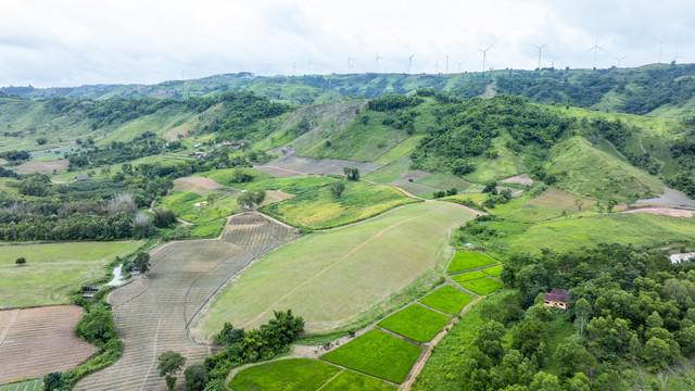 ที่ดิน 5000000 เพชรบูรณ์ เขาค้อ แคมป์สน