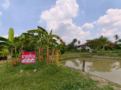 ที่ดิน 20460000 นครปฐม สามพราน หอมเกร็ด