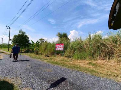 ที่ดิน 2368000 กรุงเทพมหานคร เขตหนองจอก คลองสิบสอง