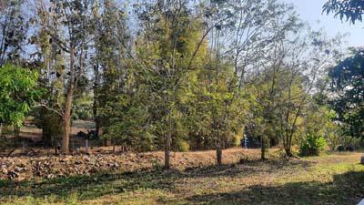 ที่ดิน 16500000 เชียงใหม่ แม่ริม ห้วยทราย