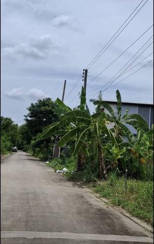 ที่ดิน 2500000 นนทบุรี ปากเกร็ด บ้านใหม่