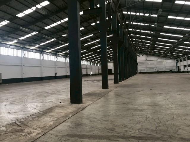 โกดัง 400000 นครปฐม สามพราน ไร่ขิง