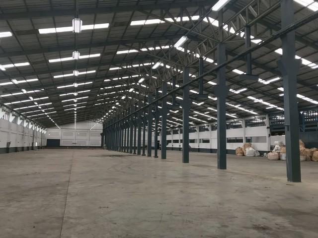 โกดัง 400000 นครปฐม สามพราน ไร่ขิง