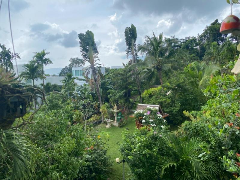 ที่ดิน 45000000 ภูเก็ต เมืองภูเก็ต ฉลอง