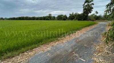 ที่ดิน 3390000 สุพรรณบุรี เมืองสุพรรณบุรี ดอนโพธิ์ทอง