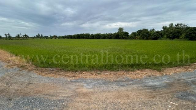 ที่ดิน 3390000 สุพรรณบุรี เมืองสุพรรณบุรี ดอนโพธิ์ทอง