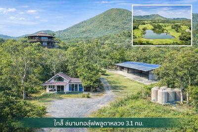 ที่ดิน 149999 ชลบุรี สัตหีบ พลูตาหลวง