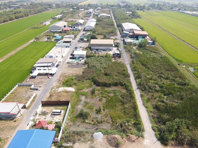 ที่ดิน 1250000 ปทุมธานี ลำลูกกา บึงทองหลาง