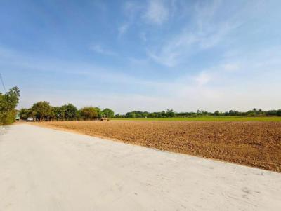 ที่ดิน 750000 ปทุมธานี คลองหลวง คลองห้า