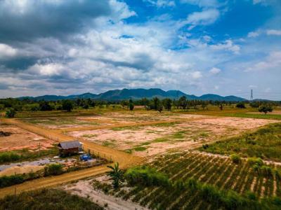 ที่ดิน 500000 เพชรบุรี ชะอำ ห้วยทรายเหนือ