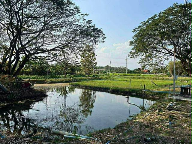 ที่ดิน 22000000 เชียงใหม่ สันป่าตอง บ้านแม