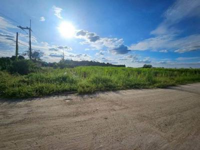 ที่ดิน 1500000 ชลบุรี พนัสนิคม ทุ่งขวาง