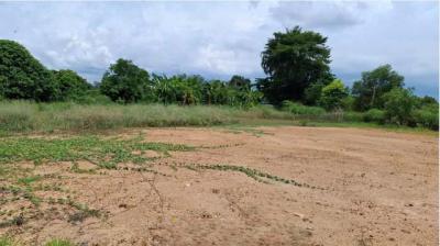 ที่ดิน 1000000 ชลบุรี พนัสนิคม ท่าข้าม