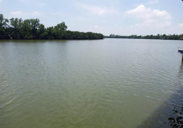 ที่ดิน 18595000 ฉะเชิงเทรา บ้านโพธิ์ ท่าพลับ