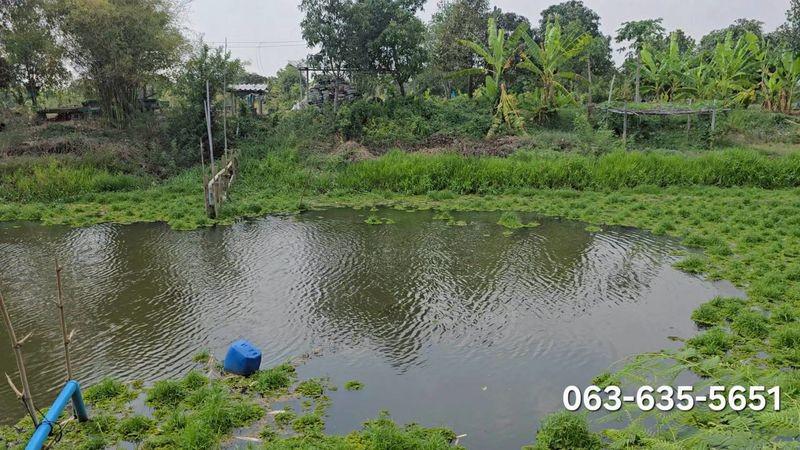 บ้านเดี่ยว 3500000 นครนายก เมืองนครนายก ดงละคร