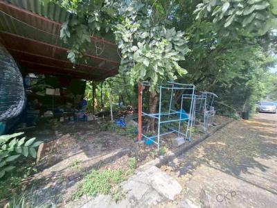 ที่ดิน 2690000 ปทุมธานี ธัญบุรี ประชาธิปัตย์