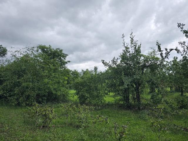 ที่ดิน 2956000 ประจวบคีรีขันธ์ เมืองประจวบคีรีขันธ์ อ่าวน้อย