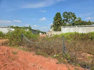 ที่ดิน 75000000 สมุทรสาคร เมืองสมุทรสาคร บางกระเจ้า