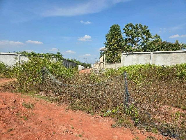 ที่ดิน 75000000 สมุทรสาคร เมืองสมุทรสาคร บางกระเจ้า