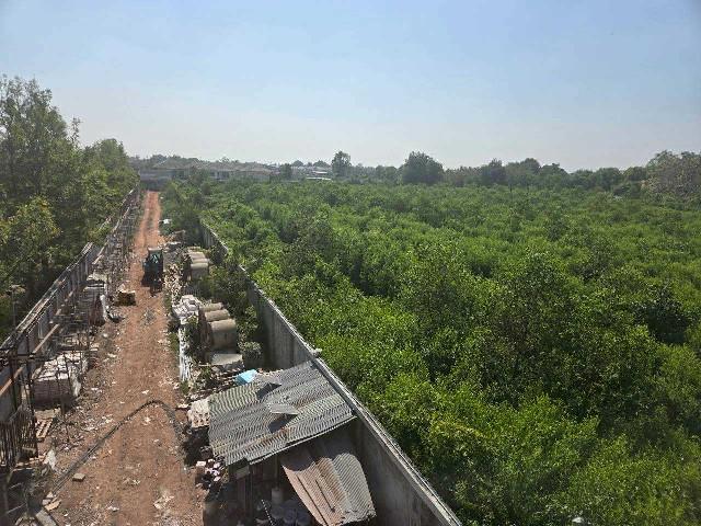 ที่ดิน 75000000 สมุทรสาคร เมืองสมุทรสาคร บางกระเจ้า