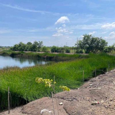 ที่ดิน 850000 พระนครศรีอยุธยา บางปะอิน วัดยม