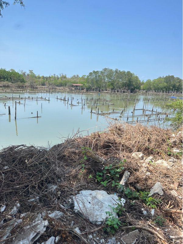 ที่ดิน 3400000 จันทบุรี ท่าใหม่ ตะกาดเง้า
