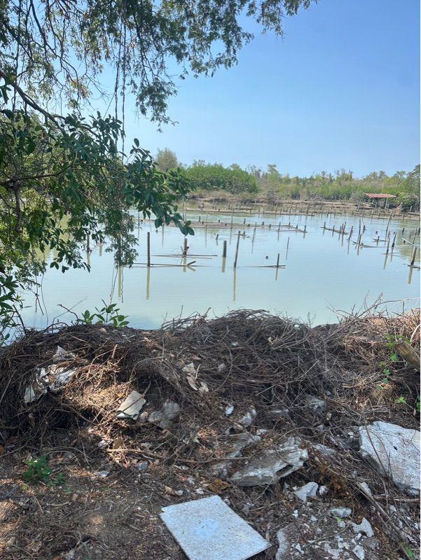 ที่ดิน 3400000 จันทบุรี ท่าใหม่ ตะกาดเง้า